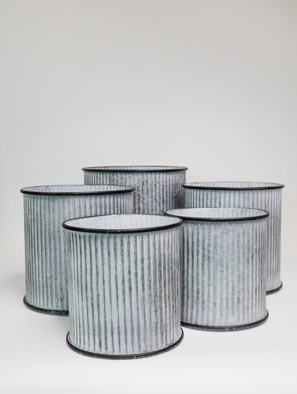 Zinc - 5/set